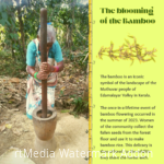 Muthavur community bamboo weaving (3)