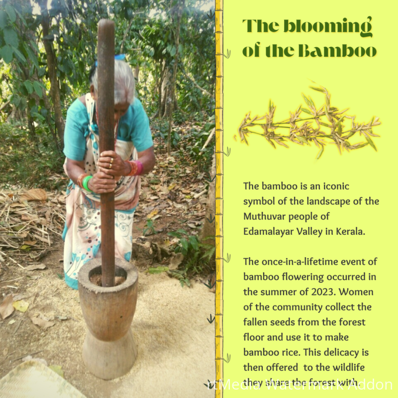 muthavur-community-bamboo-weaving-3
